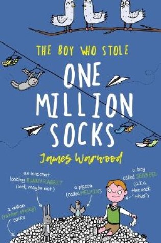 Cover of The Boy Who Stole One Million Socks