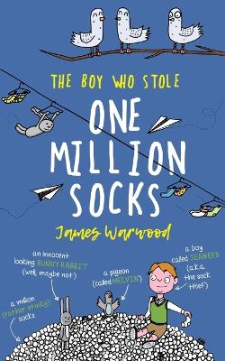 Book cover for The Boy Who Stole One Million Socks