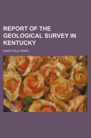 Cover of Report of the Geological Survey in Kentucky