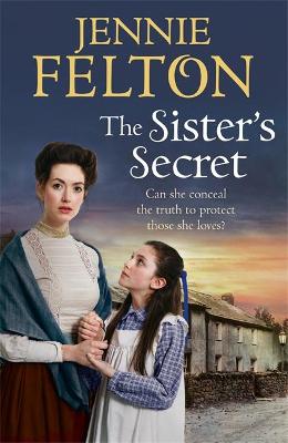 Book cover for The Sister's Secret