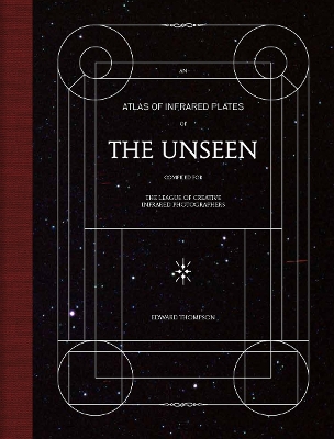 Book cover for The Unseen