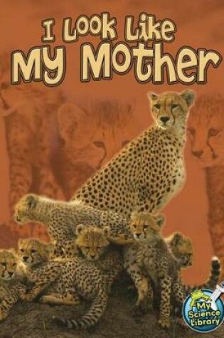 Cover of I Look Like My Mother