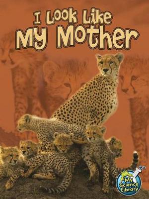 Book cover for I Look Like My Mother