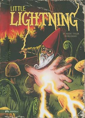 Book cover for Little Lightning