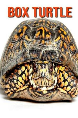 Cover of Box Turtle