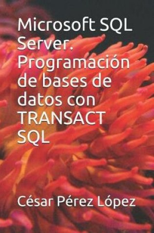 Cover of Microsoft SQL Server. Programacion de bases de datos con TRANSACT SQL