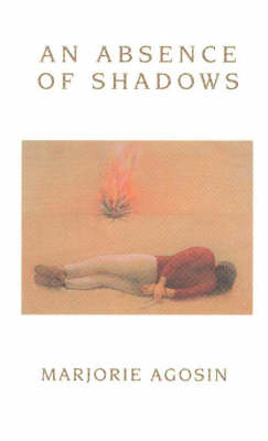 Book cover for An Absence of Shadows