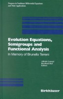 Book cover for Evolution Equations, Semigroups and Functional Analysis