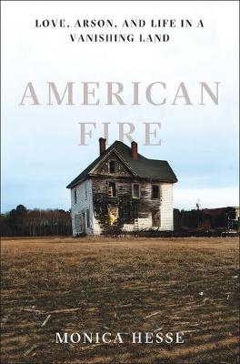 Book cover for American Fire