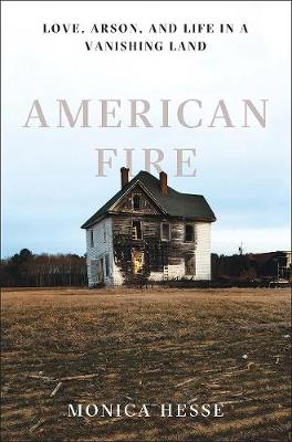 Book cover for American Fire