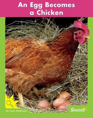 Book cover for An Egg Becomes a Chicken