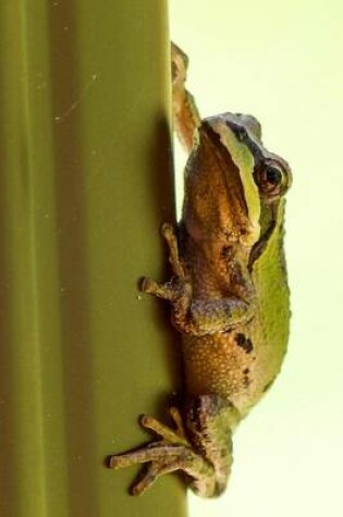 Cover of A Tiny Cute Tree Frog Hangin on a Stem