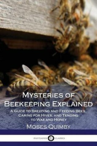 Cover of Mysteries of Beekeeping Explained