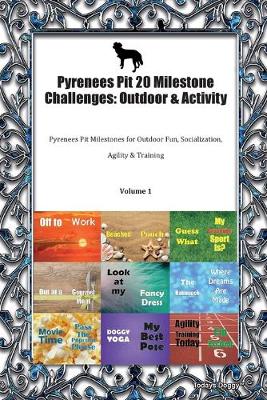 Book cover for Pyrenees Pit 20 Milestone Challenges