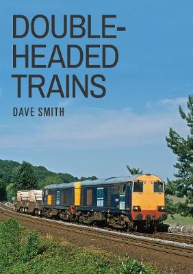 Book cover for Double-Headed Trains