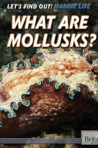 Cover of What Are Mollusks?