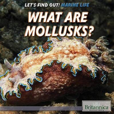 Book cover for What Are Mollusks?