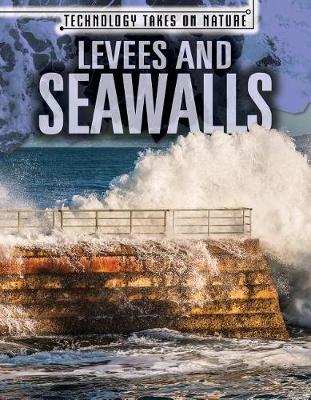 Book cover for Levees and Seawalls