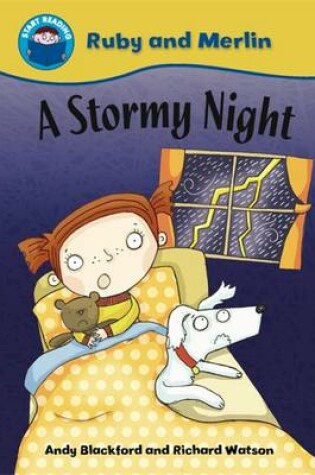 Cover of A Stormy Night