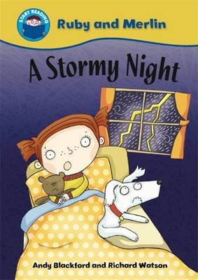 Book cover for A Stormy Night