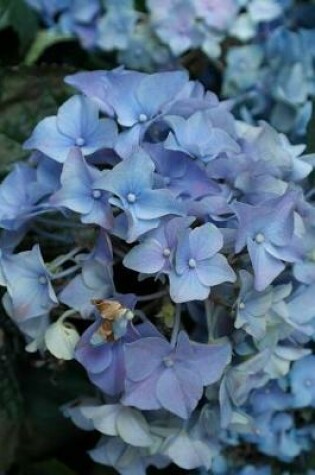 Cover of Hydrangeas Growing in Hawaii Journal