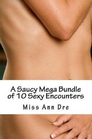 Cover of A Saucy Mega Bundle of 10 Sexy Encounters