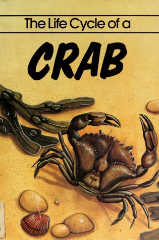 Cover of The Life Cycle of a Crab