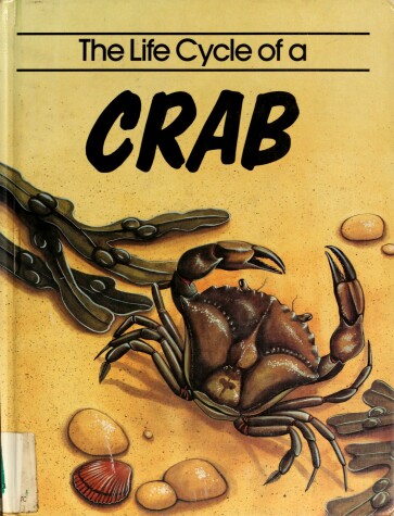 Book cover for The Life Cycle of a Crab