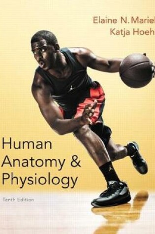 Cover of Human Anatomy & Physiology, Books a la Carte Edition, Modified Mastering A&p with Pearson Etext & Valuepack Access Card, Human Anatomy & Physiology Laboratory Manual, Fetal Pig Version, Books a la Carte Edition, Get Ready for A&p