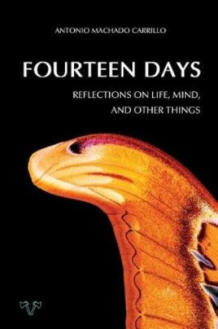 Cover of Fourteen Days