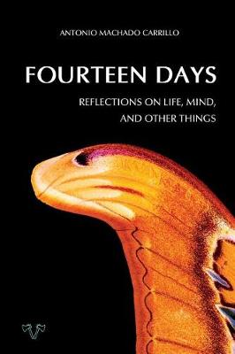 Book cover for Fourteen Days