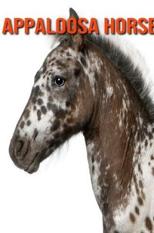 Cover of Appaloosa Horse