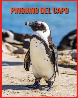 Book cover for Pinguino del Capo