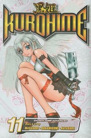 Cover of Kurohime, Volume 11
