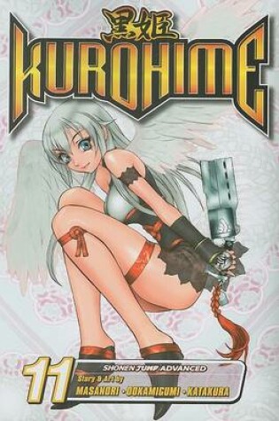 Kurohime, Volume 11