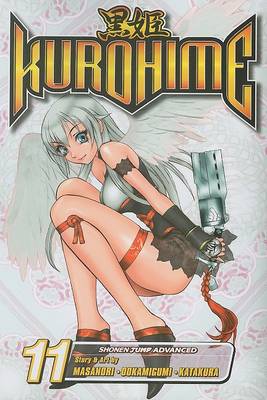 Book cover for Kurohime, Volume 11