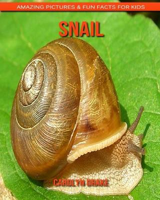 Book cover for Snail