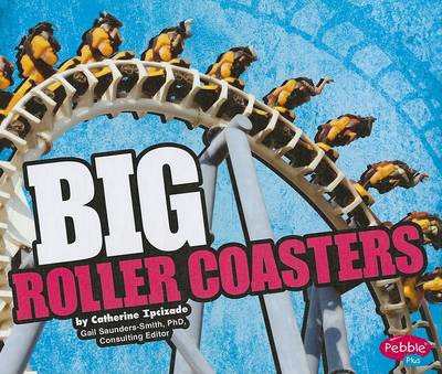 Book cover for Big Roller Coasters