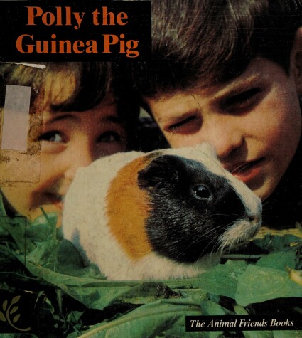 Book cover for Polly the Guinea Pig