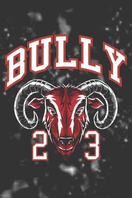Book cover for Bully 23