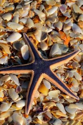 Cover of Starfish and Seashells