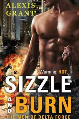 Cover of Sizzle and Burn