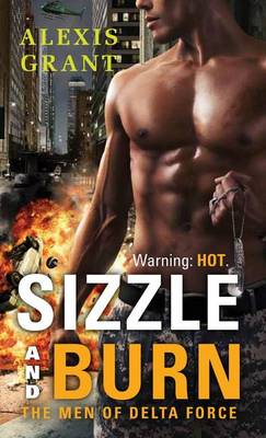 Cover of Sizzle and Burn