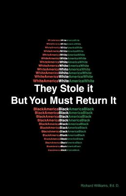 Book cover for They Stole It But You Must Return It