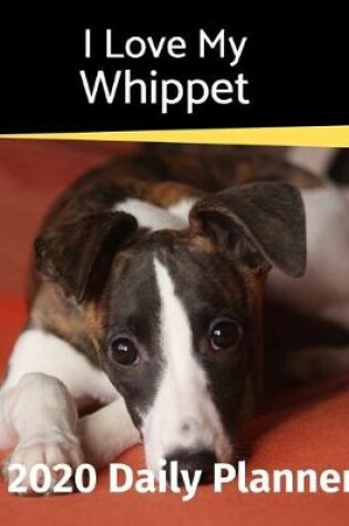 Cover of I Love My Whippet