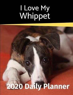 Book cover for I Love My Whippet
