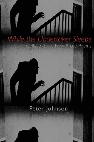 Cover of While the Undertaker Sleeps