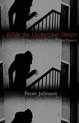Book cover for While the Undertaker Sleeps