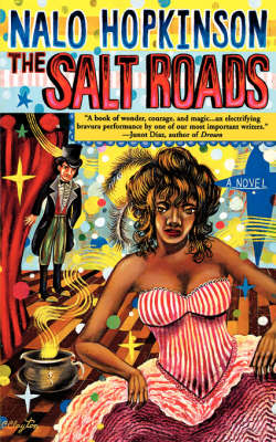 Book cover for The Salt Roads