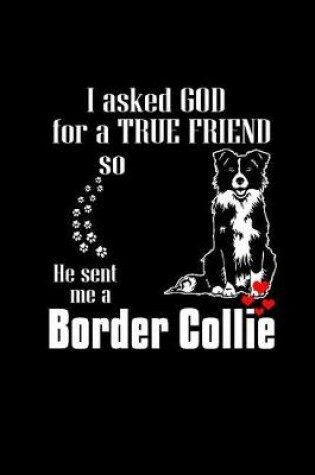Cover of I Asked God for a True Friend So He Sentt Me A Border Collie